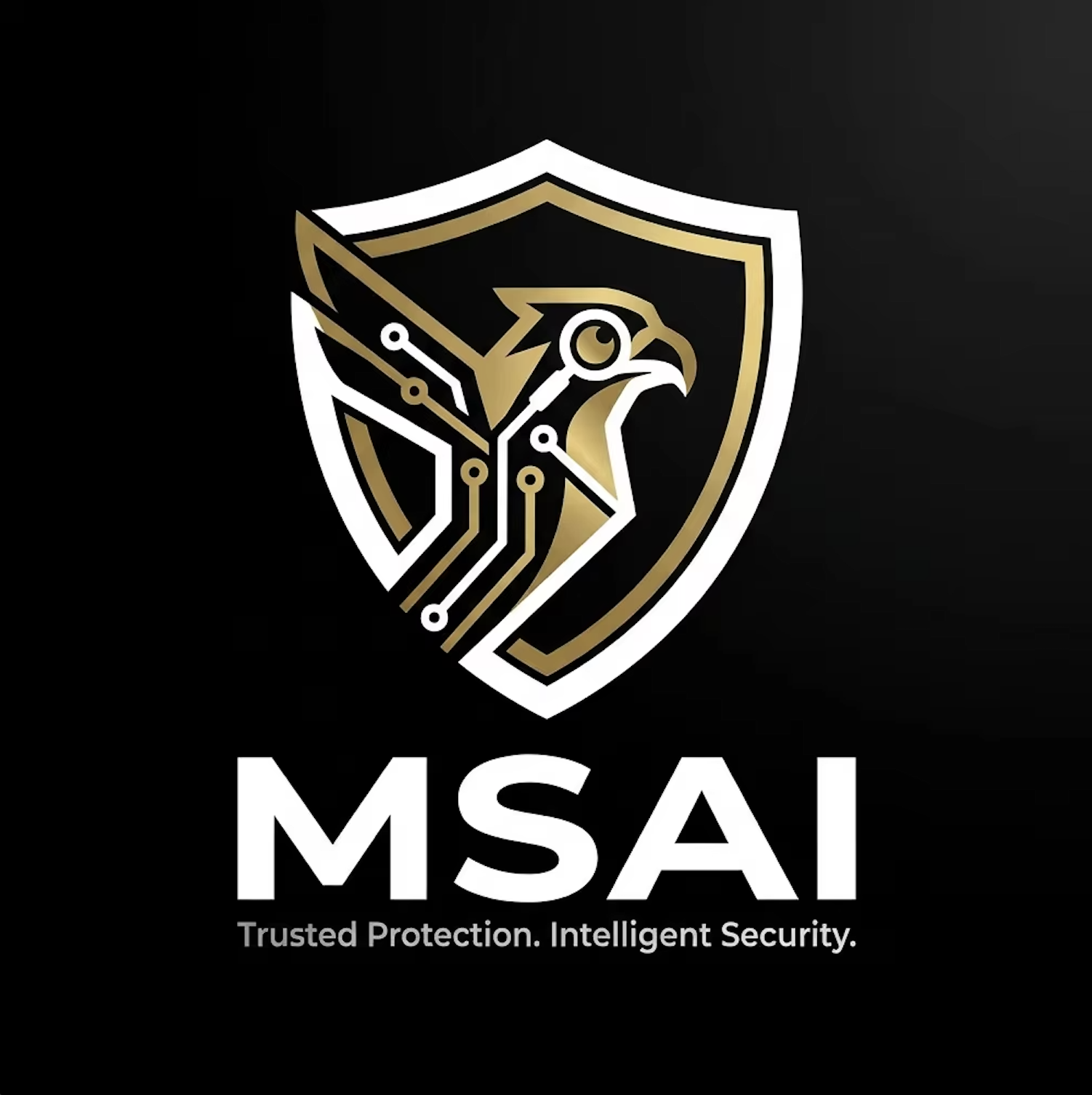 MSAI Security Solutions